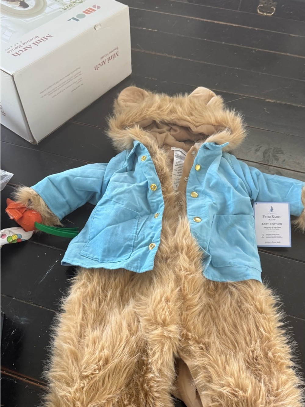 Peter Rabbit Pottery Barn Costume